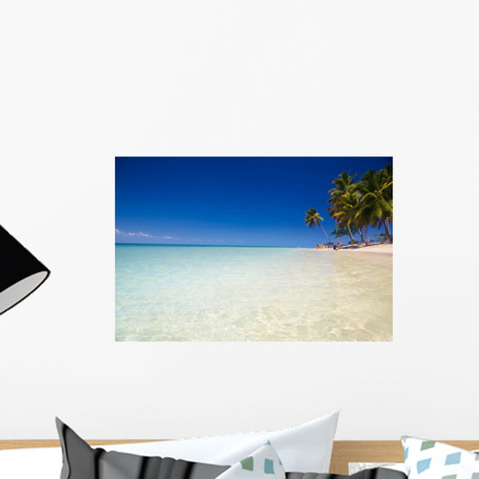 carribean beach Wall Mural