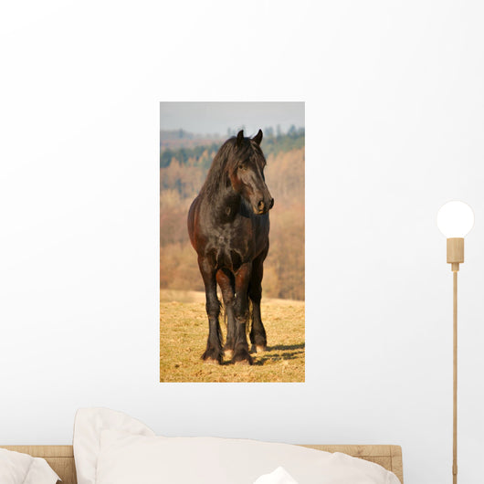 Frisian 3 Wall Mural