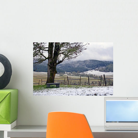 winter vineyard Wall Mural