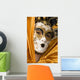 Venetian Mask Wall Mural