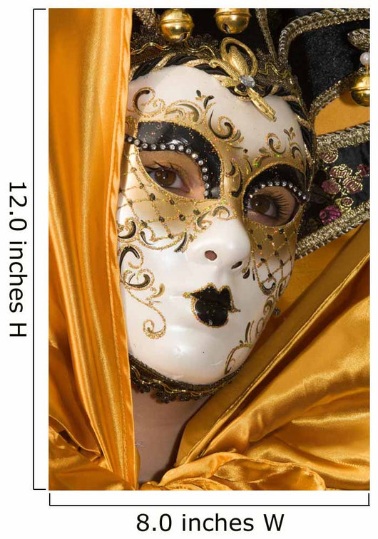 Venetian Mask Wall Mural