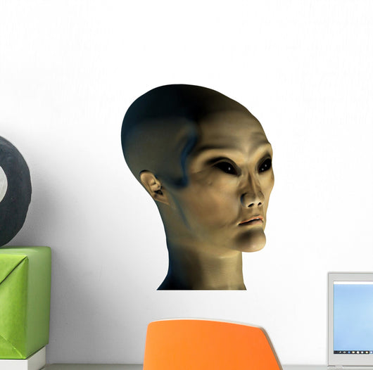 alien invader Wall Decal