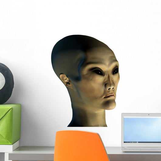 alien invader Wall Decal