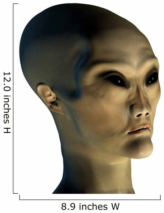 alien invader Wall Decal