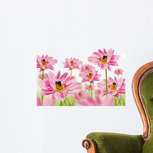 hummelparadies Wall Decal