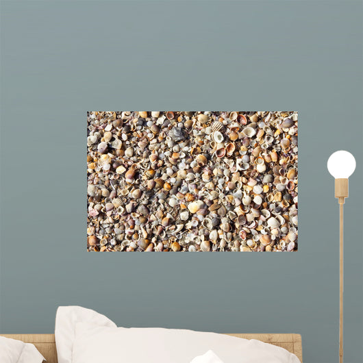 Natural broken sea shells on beach Wall Mural