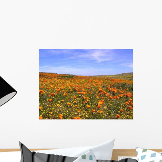 Poppy Reserve Desert Wall Decal