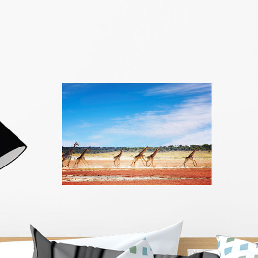 Running giraffes Wall Mural