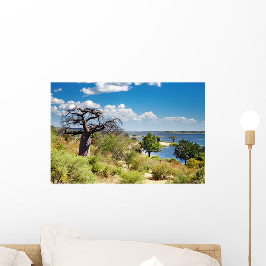 Chobe river in Botswana Wall Mural