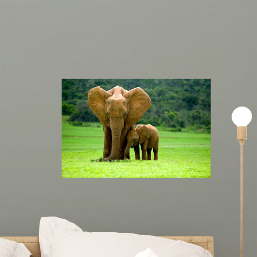 Elephant Mother With Cub Wall Mural
