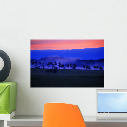 Sunrise Over Field With Trees Wall Mural