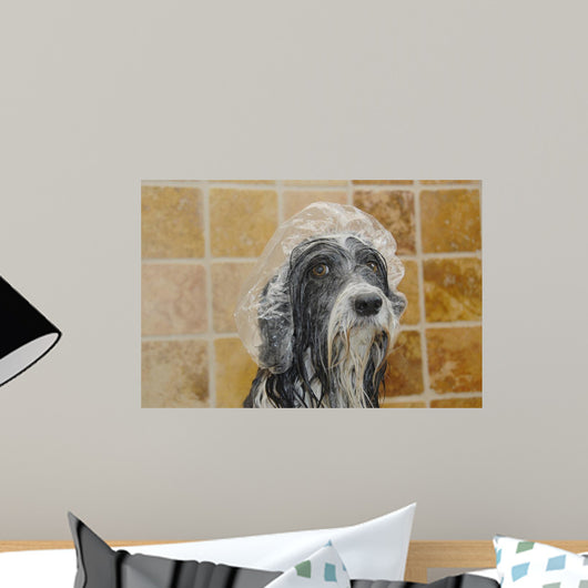 Razz Tries to Protect His Doo Wall Mural