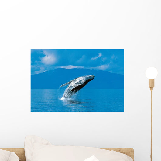 Humpback Whale Breaching Wall Decal
