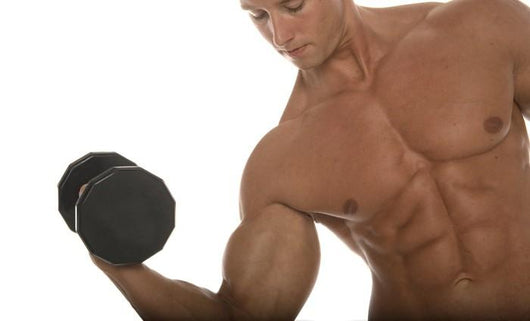 Body Builder Wall Mural
