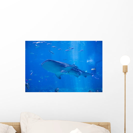 Whale Shark Swimming Wall Decal
