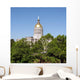 Georgia State Capitol Wall Decal