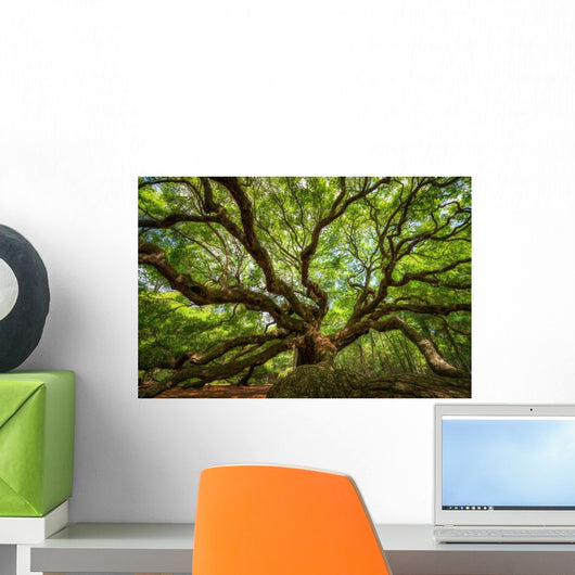 Under Canopy Angel Oak Wall Decal