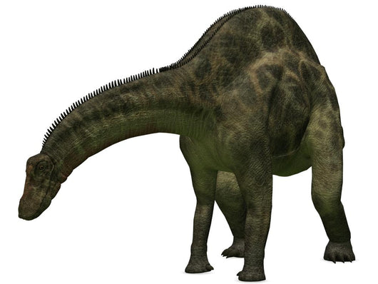 Janensch-3d Dinosaurs Wall Decal