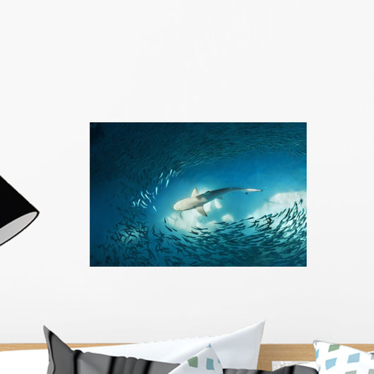Shark and Small Fishes Wall Decal