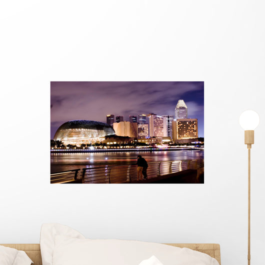 singapore night scene Wall Mural