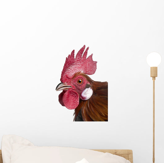 Gallic Rooster (1 Year Old) Wall Decal