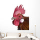 Gallic Rooster (1 Year Old) Wall Decal