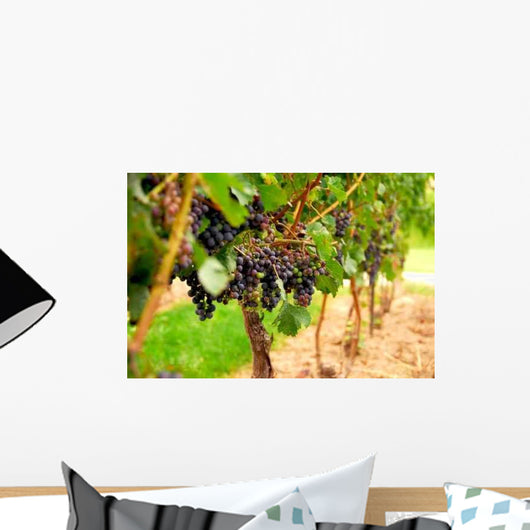 Grape Vines Wall Decal Design 2
