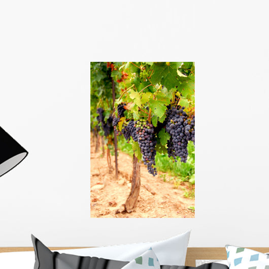 Grape Vines Wall Decal Design 1