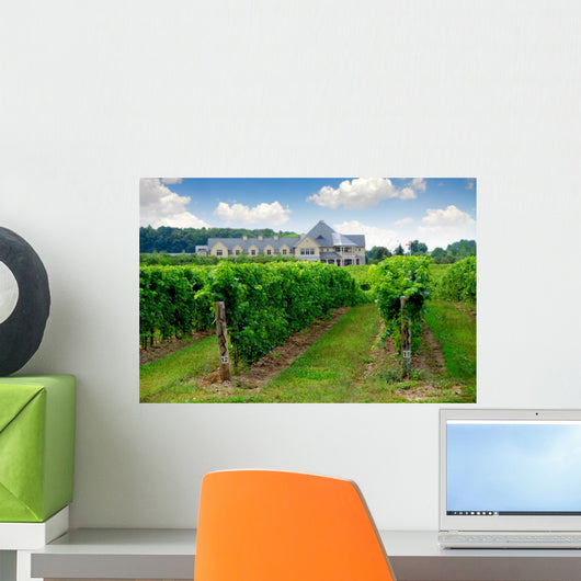 vineyard Wall Mural