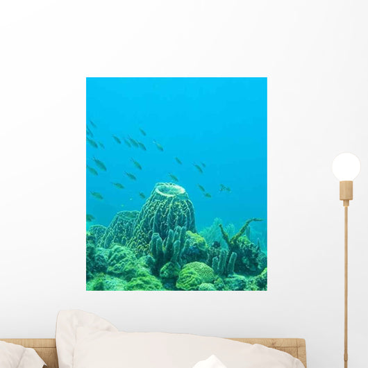 Coral Reef Scene Wall Decal