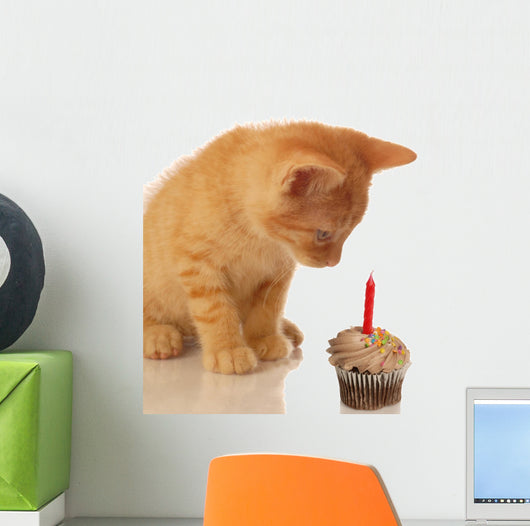 kitten celebrating birthday - kitten looking at cupcake Wall Decal