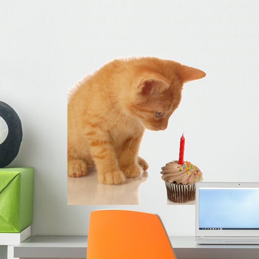 kitten celebrating birthday - kitten looking at cupcake Wall Decal