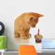 kitten celebrating birthday - kitten looking at cupcake Wall Decal