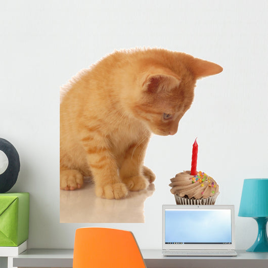 kitten celebrating birthday - kitten looking at cupcake Wall Decal