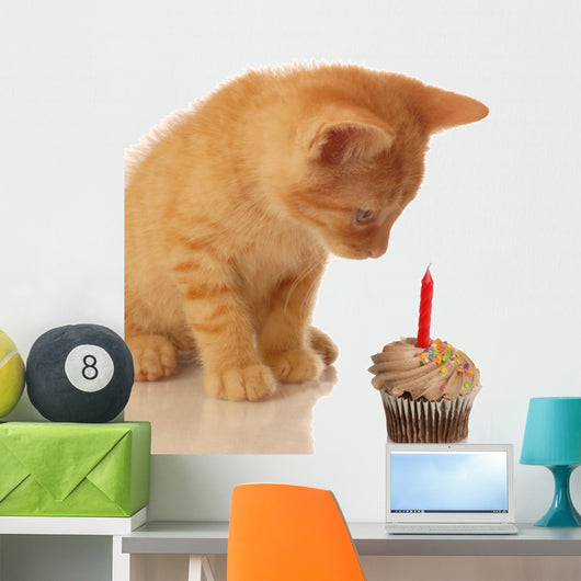 kitten celebrating birthday - kitten looking at cupcake Wall Decal