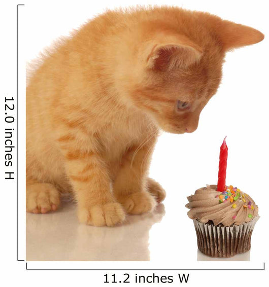 kitten celebrating birthday - kitten looking at cupcake Wall Decal