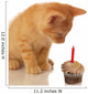 kitten celebrating birthday - kitten looking at cupcake Wall Decal