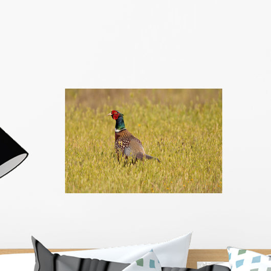 Pheasant Wall Mural
