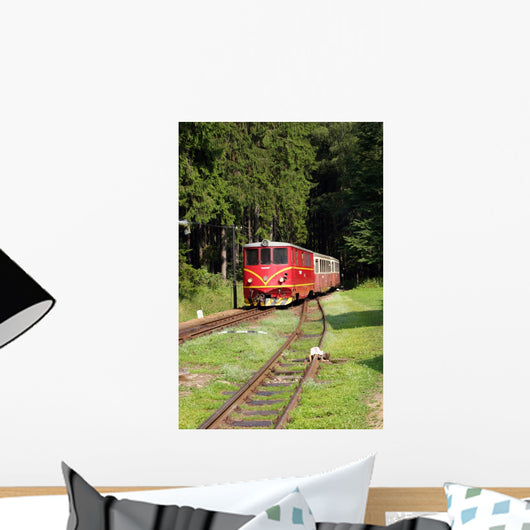 Historical Train Wall Mural
