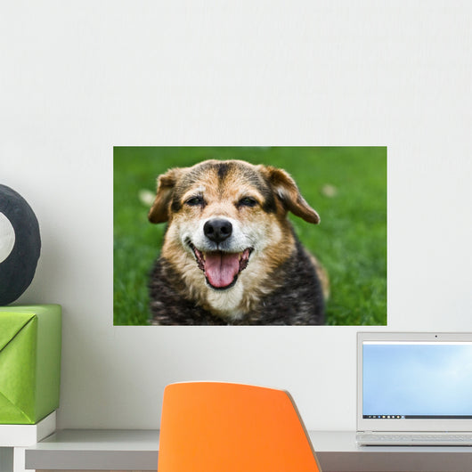 Dog Wall Mural