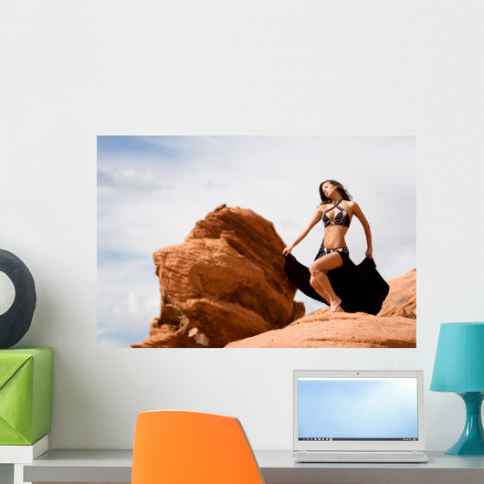 Fashion girl in belly dance dress Wall Mural