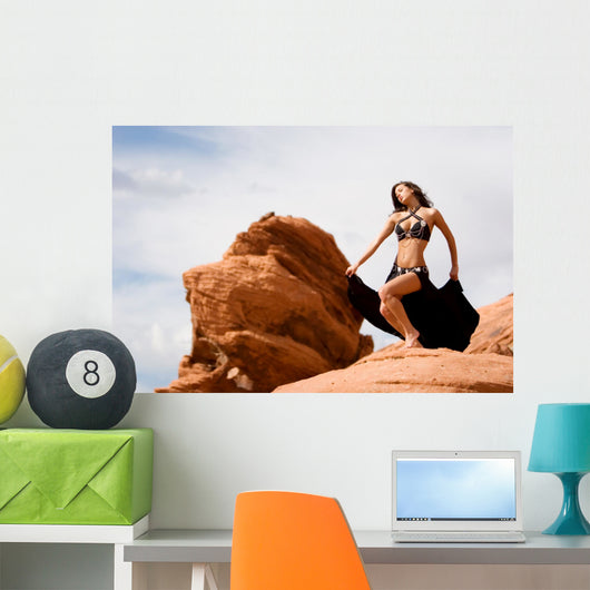 Fashion girl in belly dance dress Wall Mural