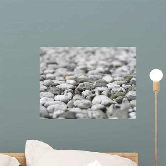 Sassi Wall Mural