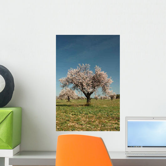 Tree Flower Wall Decal
