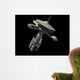 space station Wall Mural