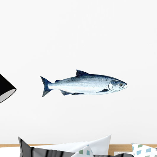 Watercolor Salmon Fish Wall Decal