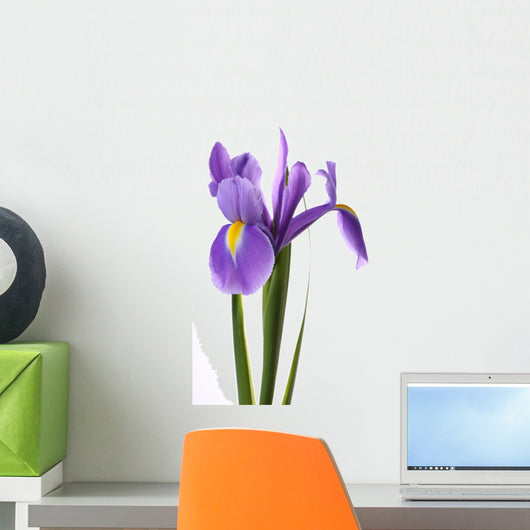 Flower Decals - Purple Iris Wall Decal