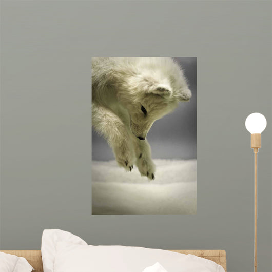 Arctic Fox Hunting Snow Wall Decal