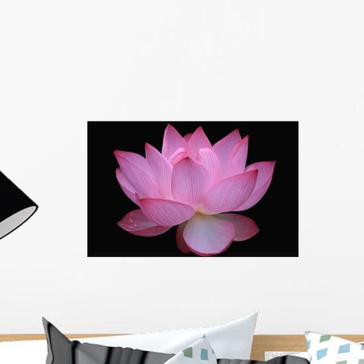 Lotus (Pink) Wall Mural
