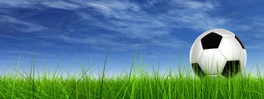 3D black soccer ball,green grass and a blue sky with clouds Wall Mural